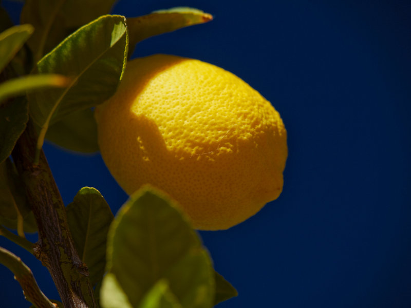 Namib Rand, Lemon